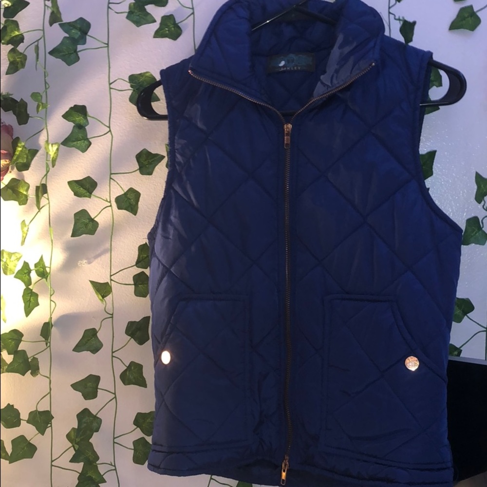 Blue puffy vest